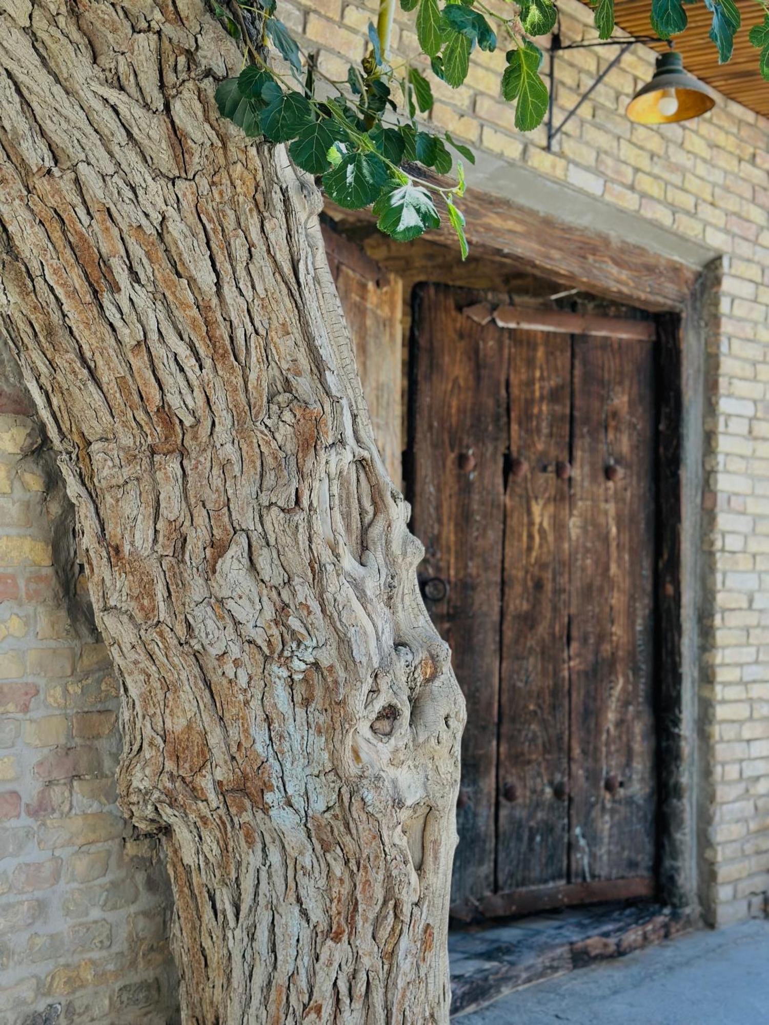 Dervish Hostel Bukhara Exterior photo